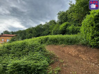 vente Terrain constructible Rimont