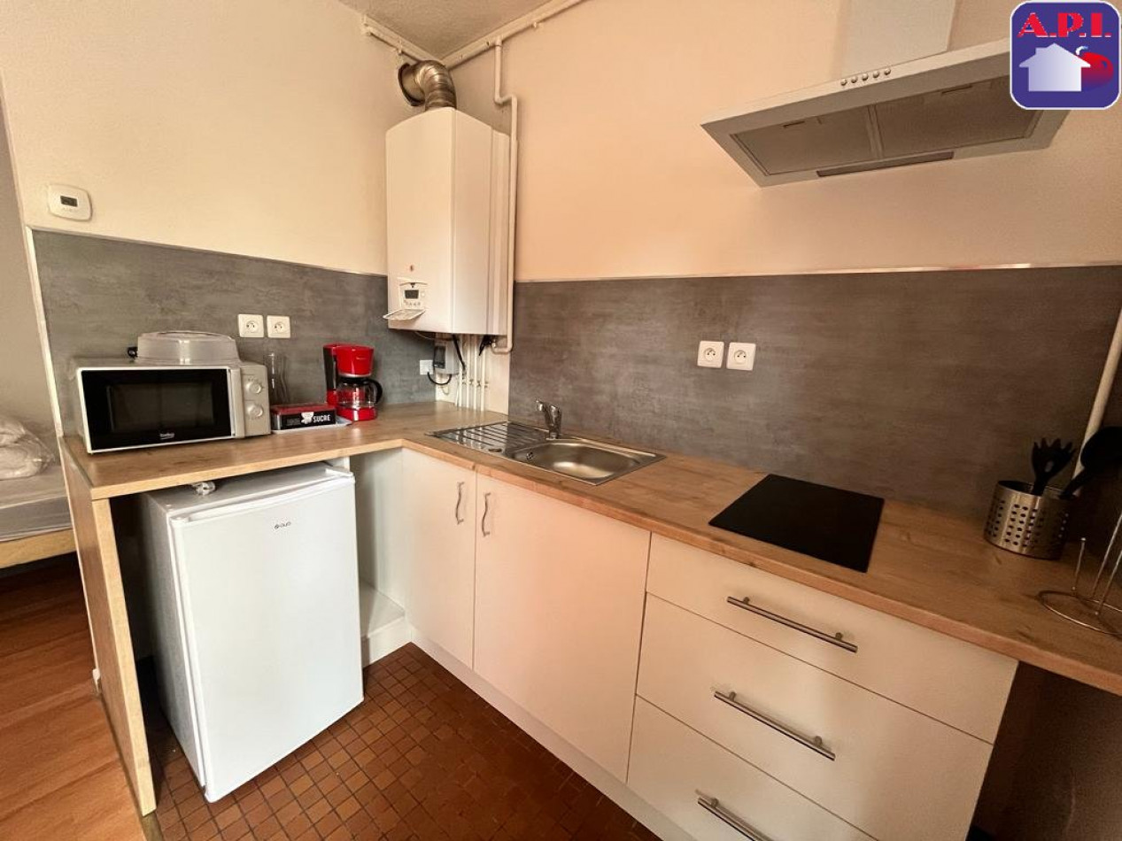 location Appartement Pamiers - Photo 3