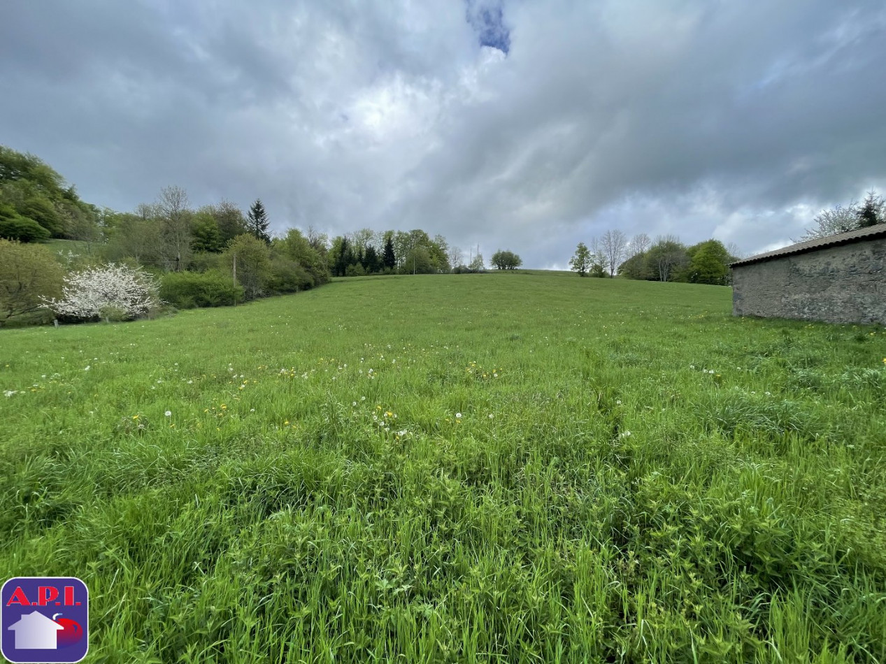 vente Terrain Roquefeuil - Photo 2