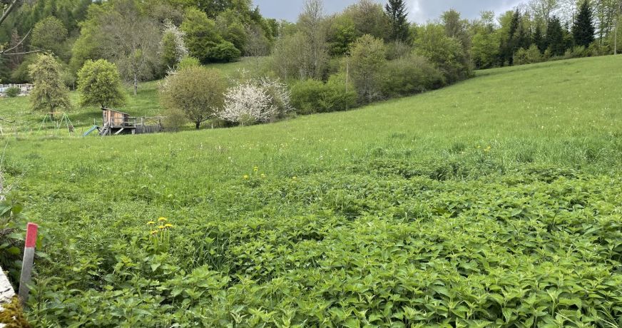 vente Terrain Roquefeuil