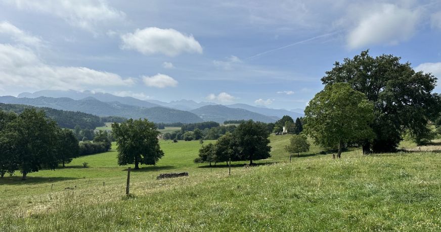 vente Terrain agricole Saint Lizier