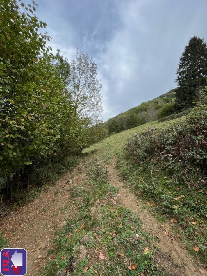 vente Grange Ustou - Photo 3