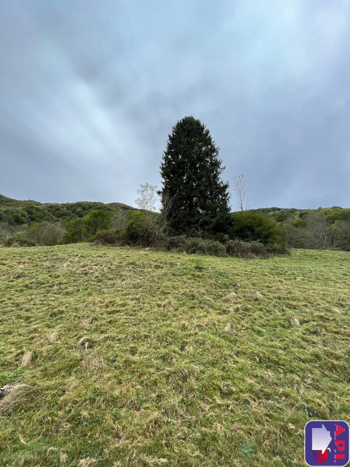 vente Grange Ustou - Photo 6