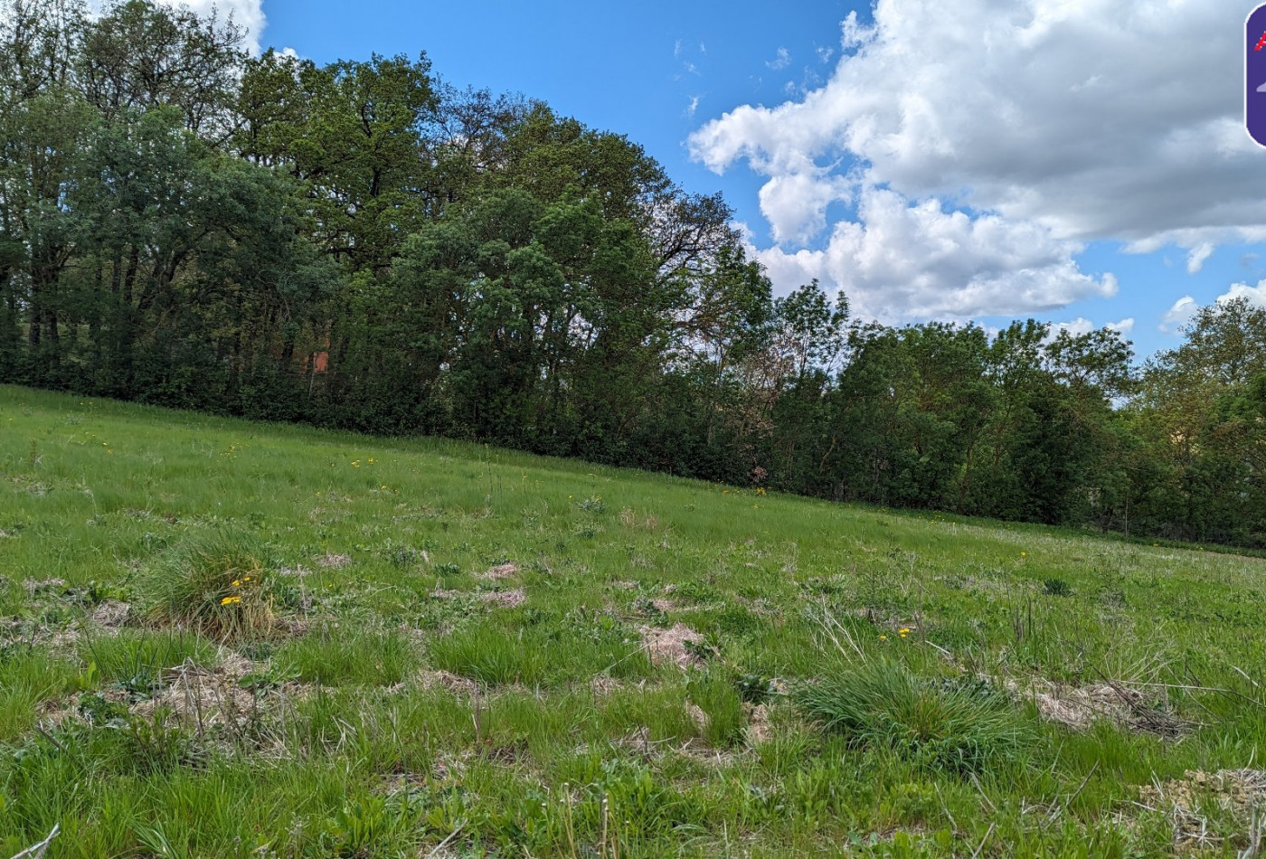 vente Terrain Nailloux - Photo 4