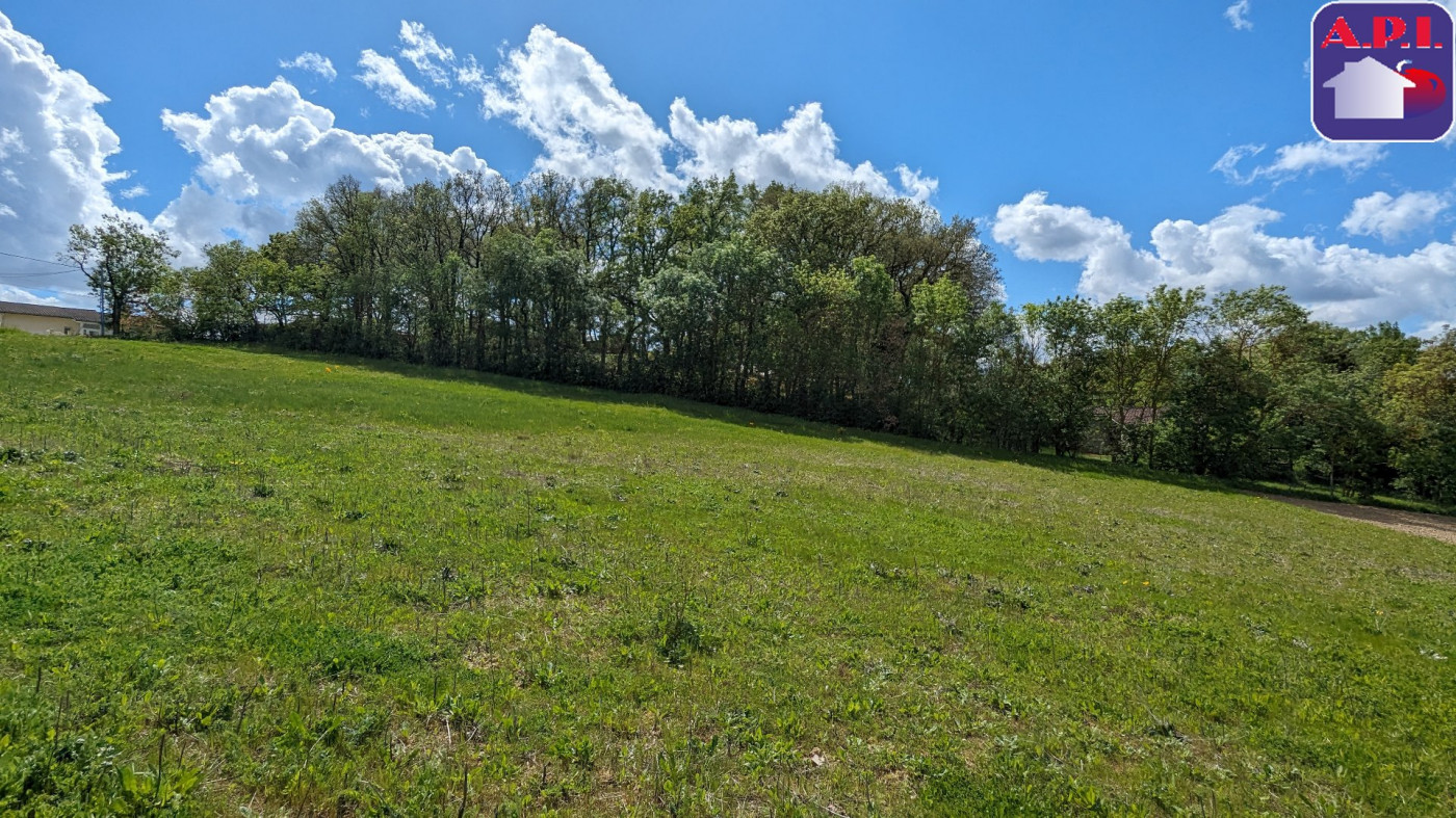 vente Terrain Nailloux - Photo 3