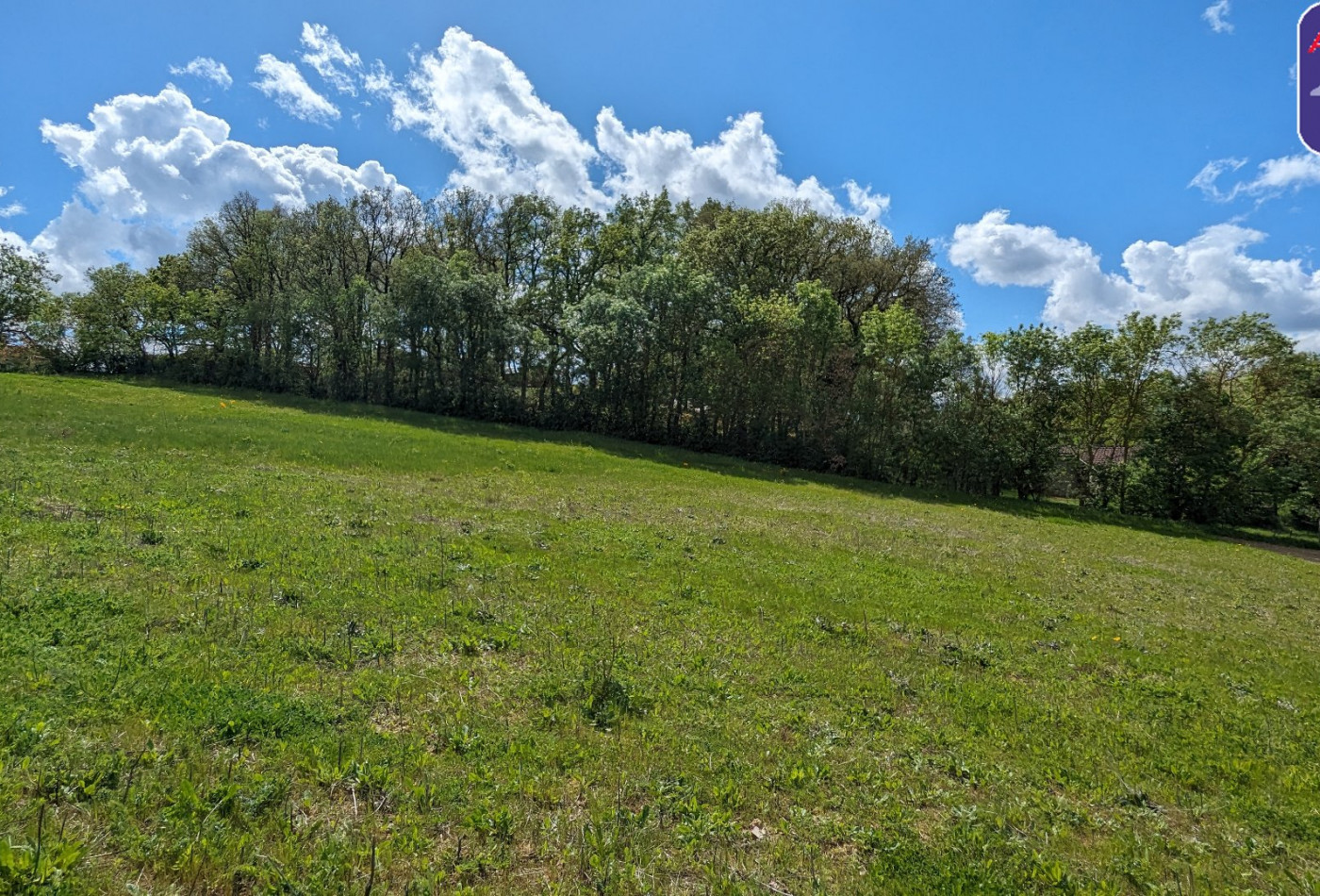 vente Terrain Nailloux - Photo 3