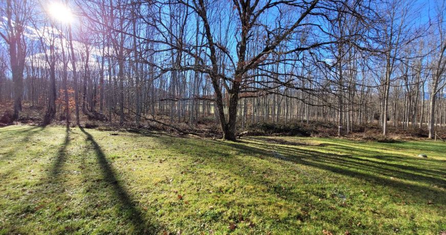 location Maison Saint Girons