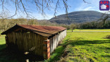 vente Terrain agricole Genos