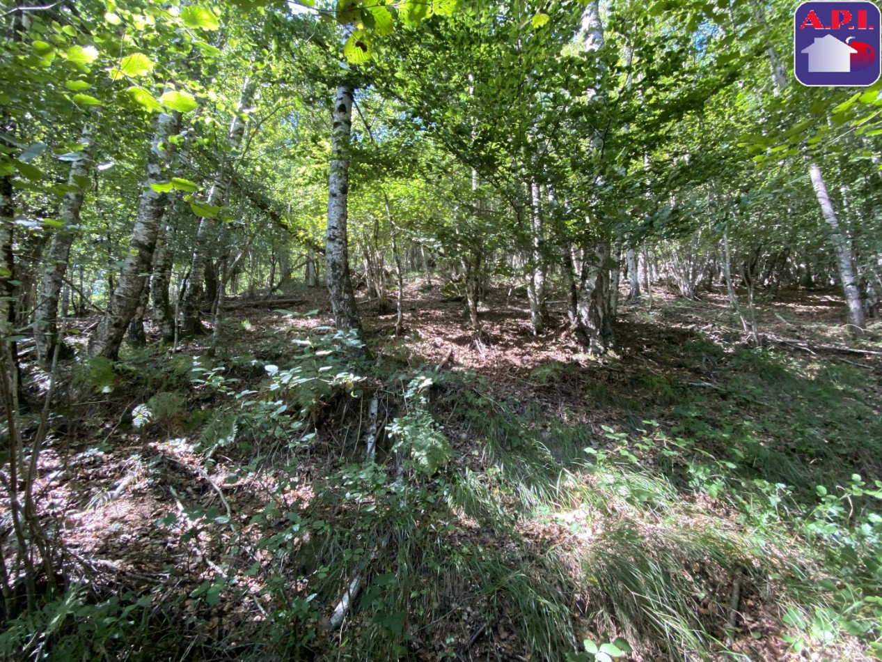 vente Maison Sentein - Photo 5