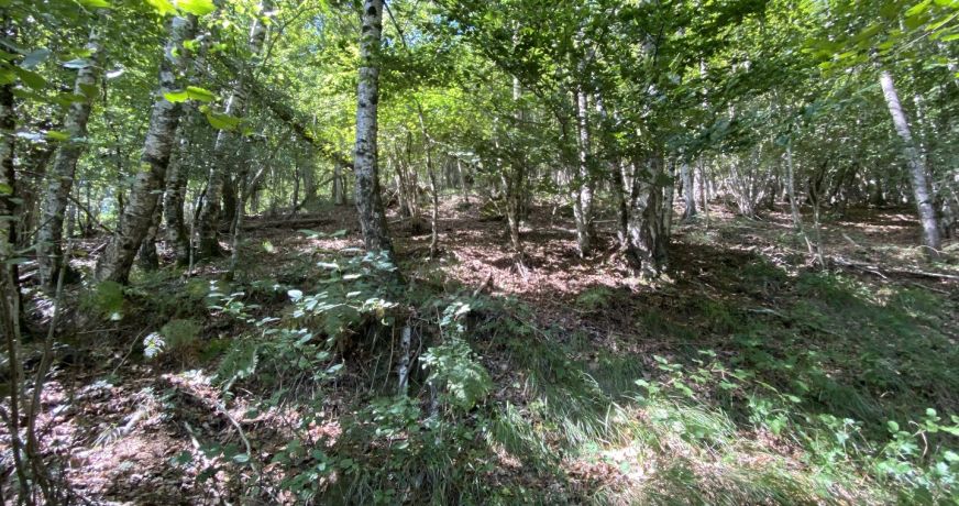 vente Maison Sentein