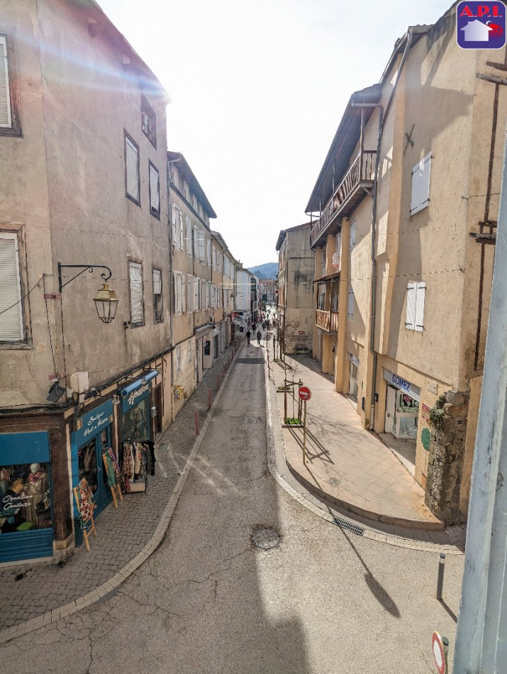 location Appartement Foix - Photo 7