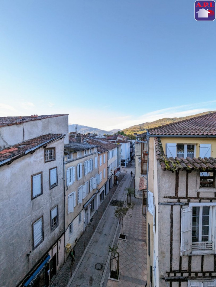 location Appartement Foix - Photo 8