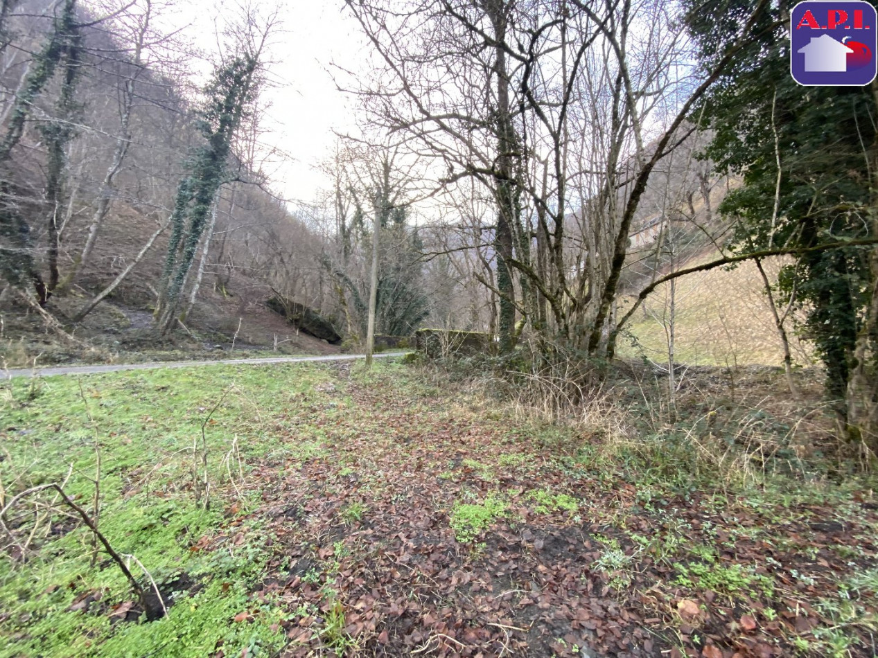 vente Grange Sentein - Photo 7