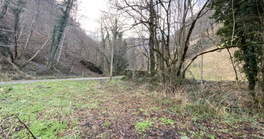 vente Grange Sentein