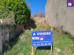 vente L'aiguillon
