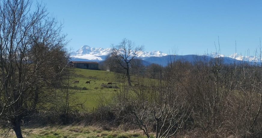 vente Maison Lescure