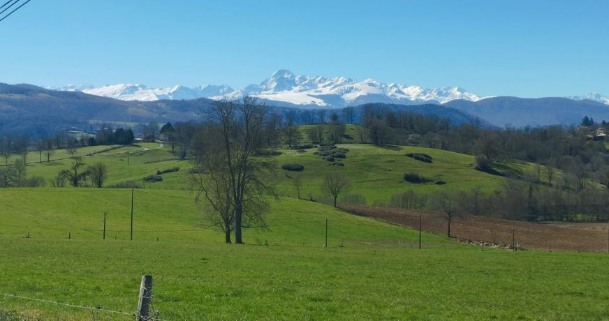 vente Maison Lescure