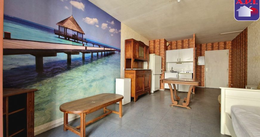 vente Appartement Saint Gaudens