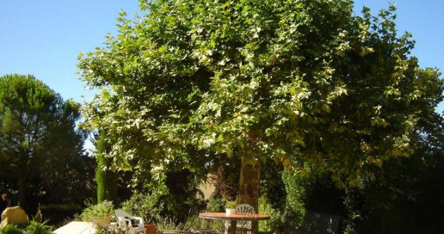 vente Maison Mirepoix