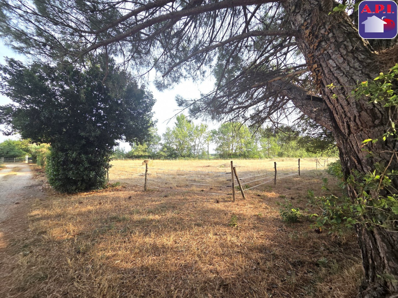 vente Corps de ferme Mazeres - Photo 6