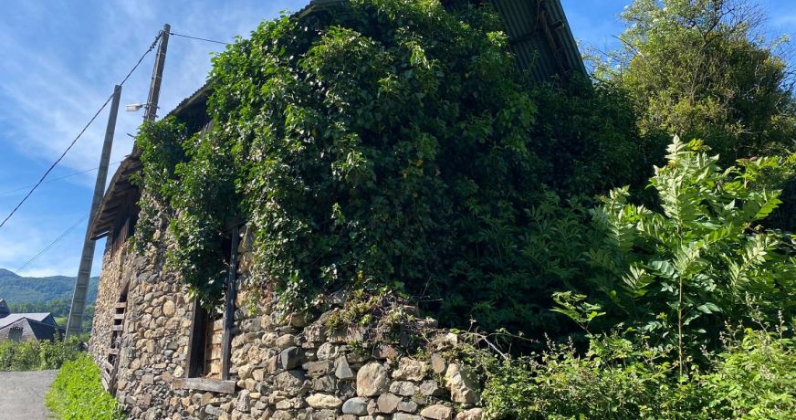 vente Grange Argein