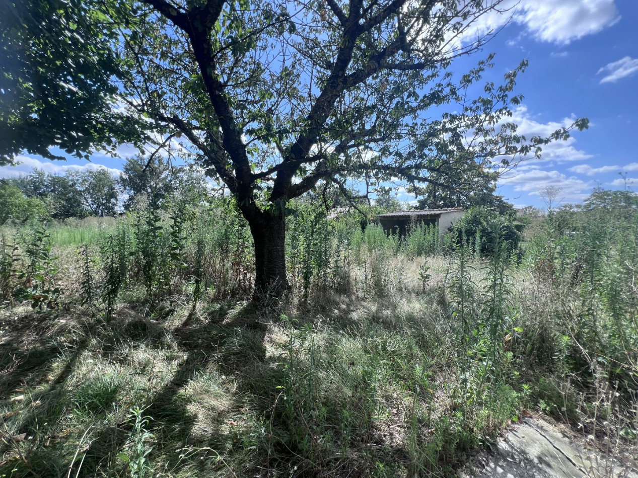 vente Maison Cugnaux - Photo 19