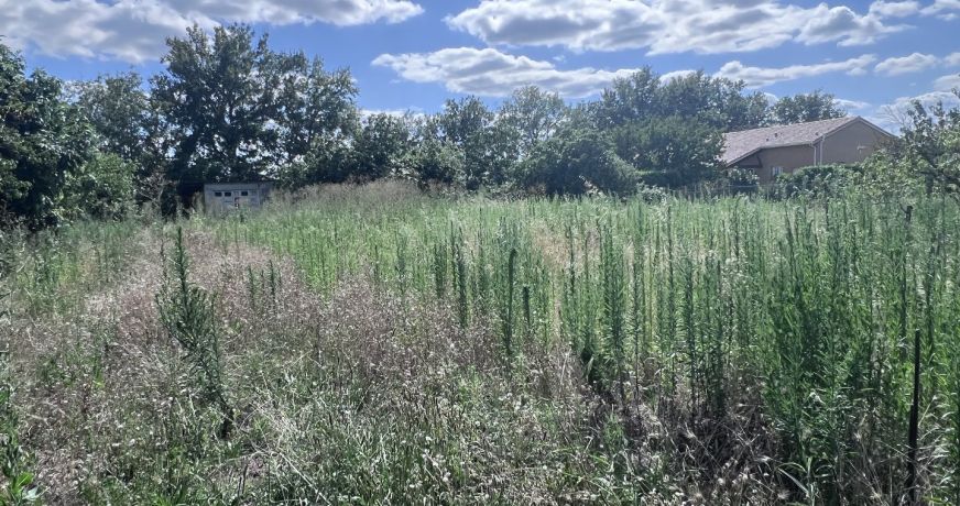 vente Terrain constructible Cugnaux