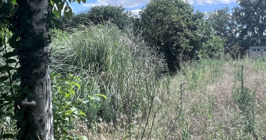 vente Terrain constructible Cugnaux
