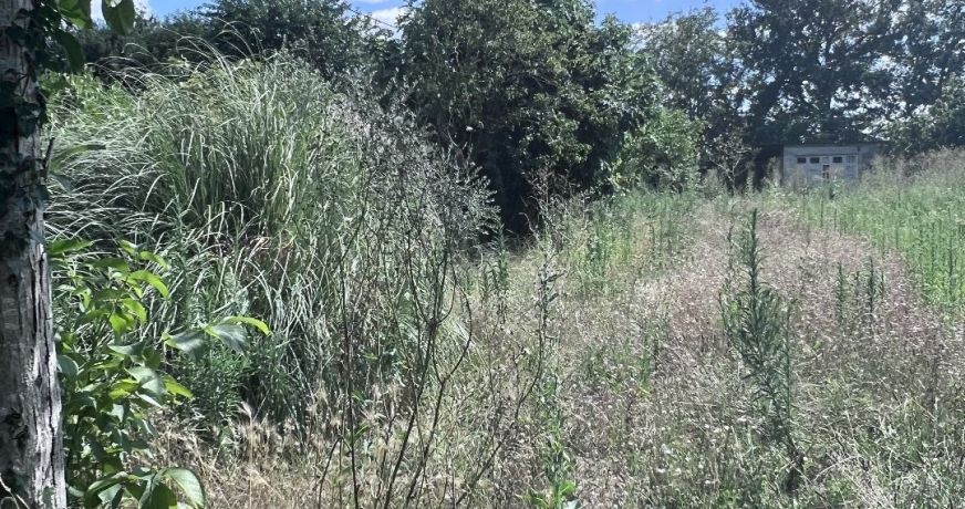 vente Terrain constructible Cugnaux