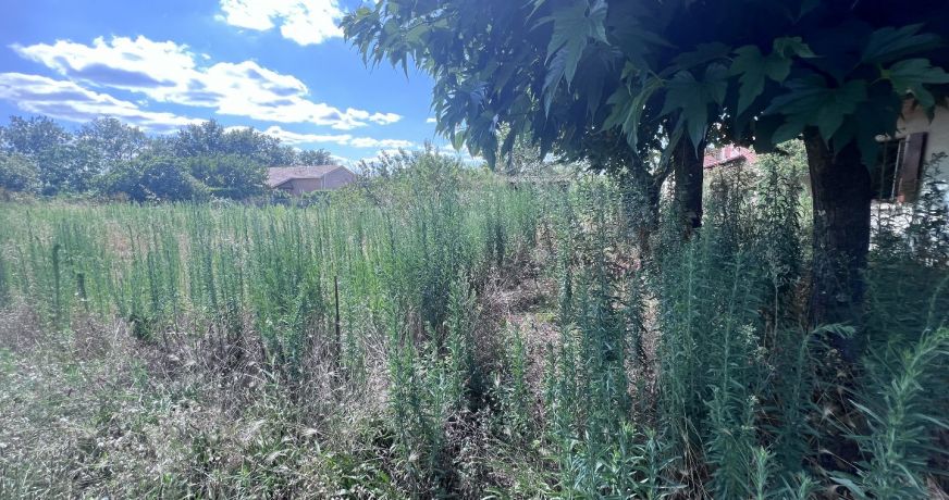 vente Terrain constructible Cugnaux