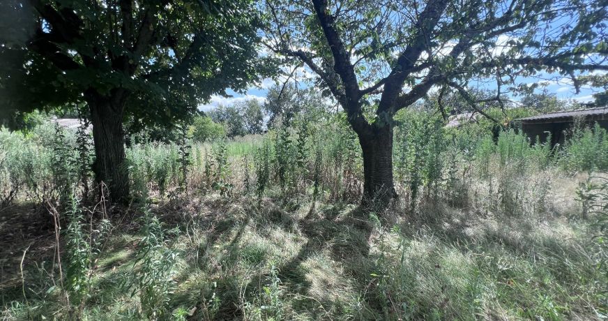 vente Terrain constructible Cugnaux