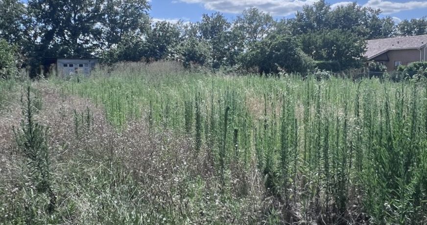 vente Terrain constructible Cugnaux
