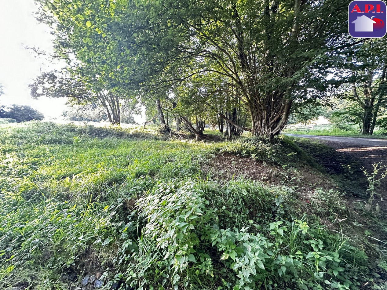 vente Terrain constructible La Bastide De Serou - Photo 10