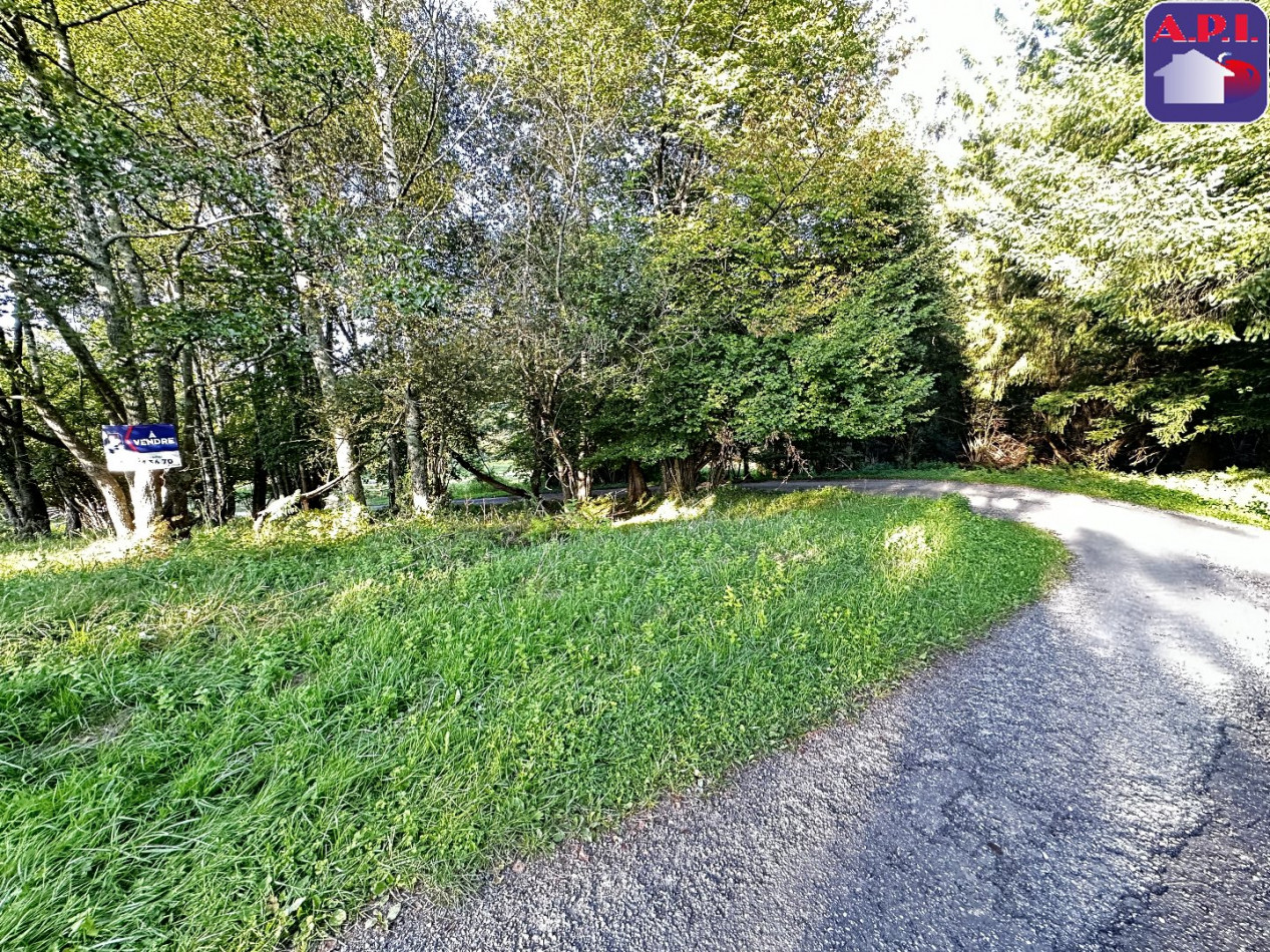 vente Terrain constructible La Bastide De Serou - Photo 8