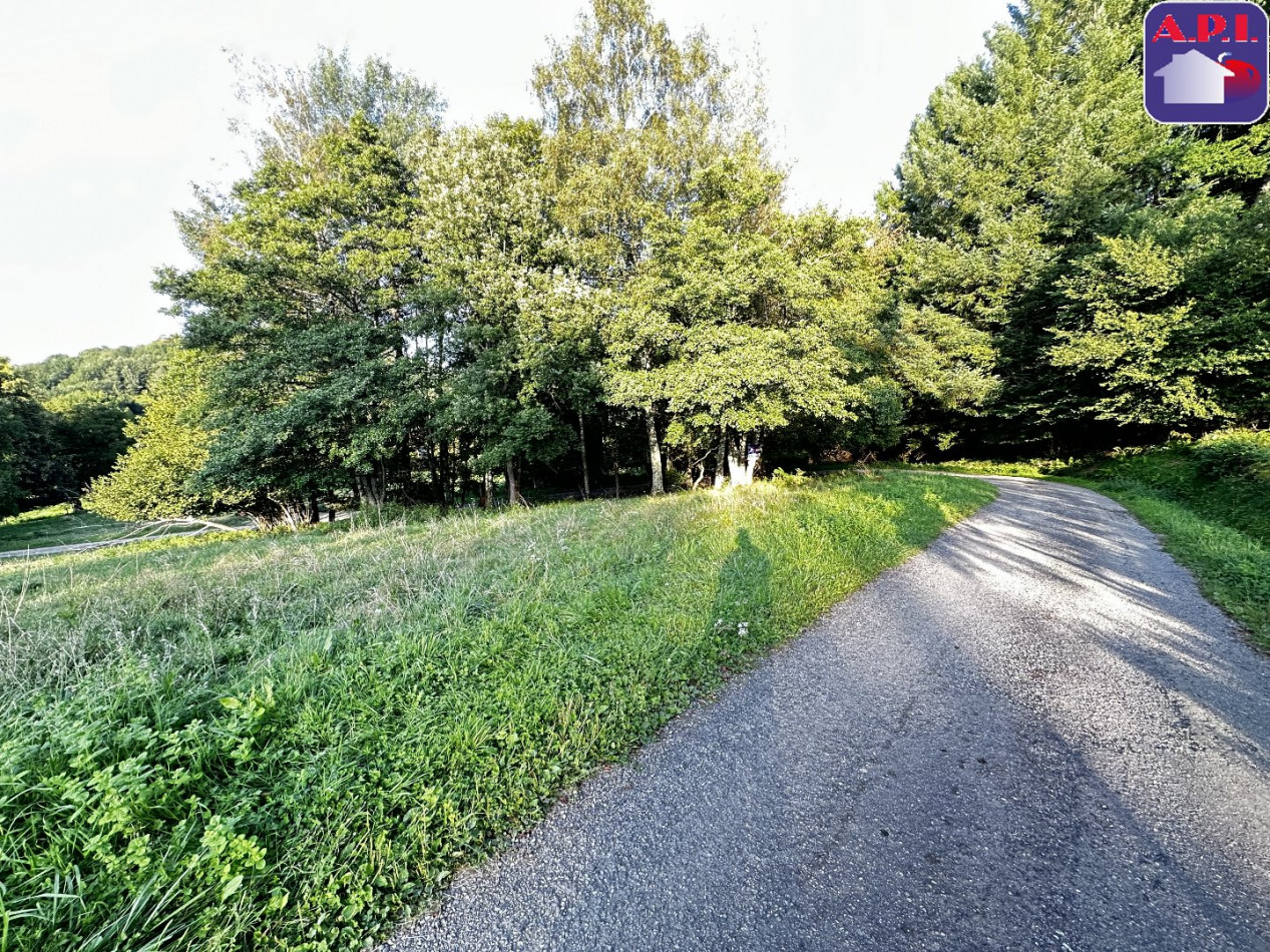 vente Terrain constructible La Bastide De Serou - Photo 12
