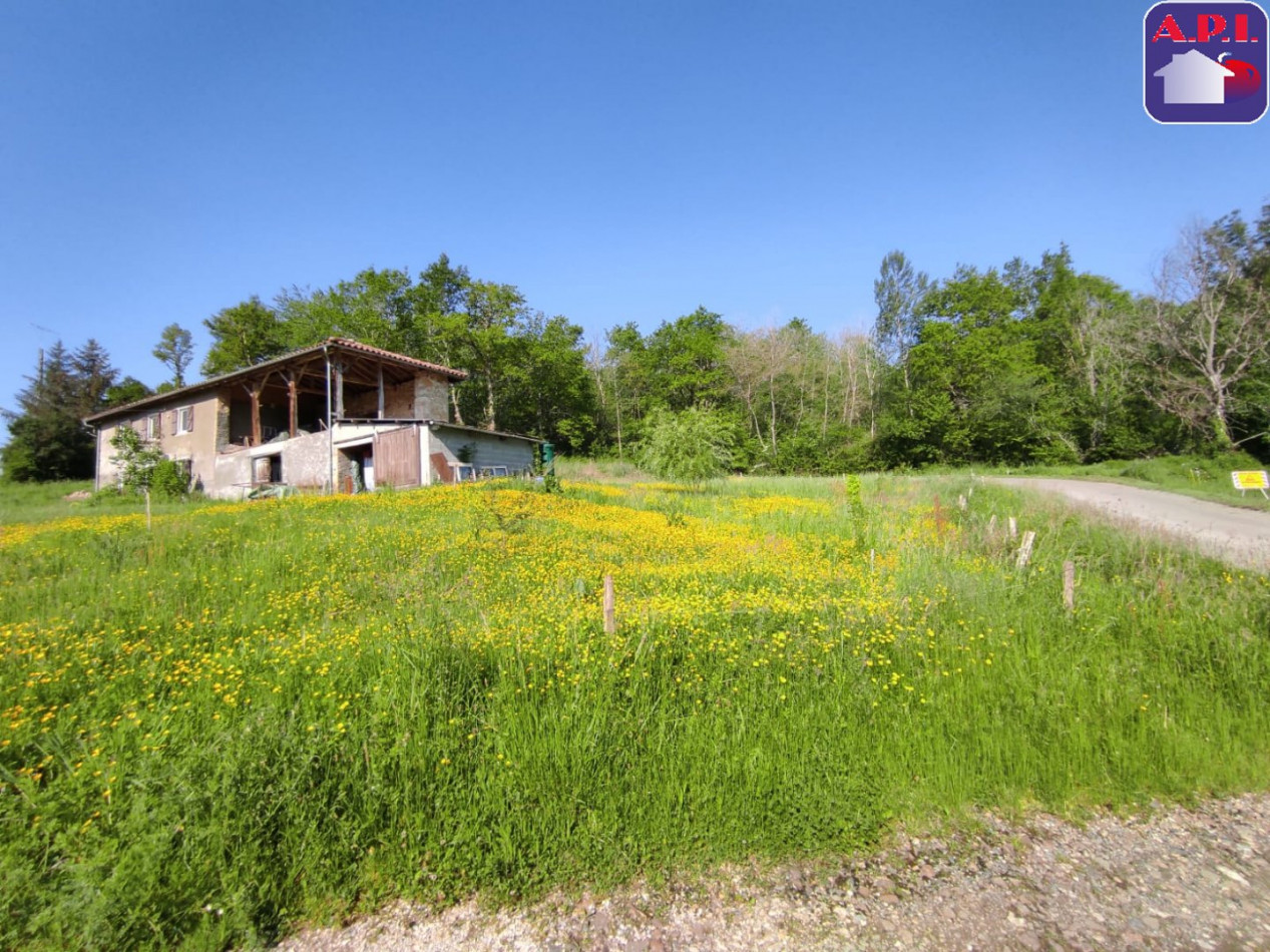 vente Maison Fabas - Photo 3