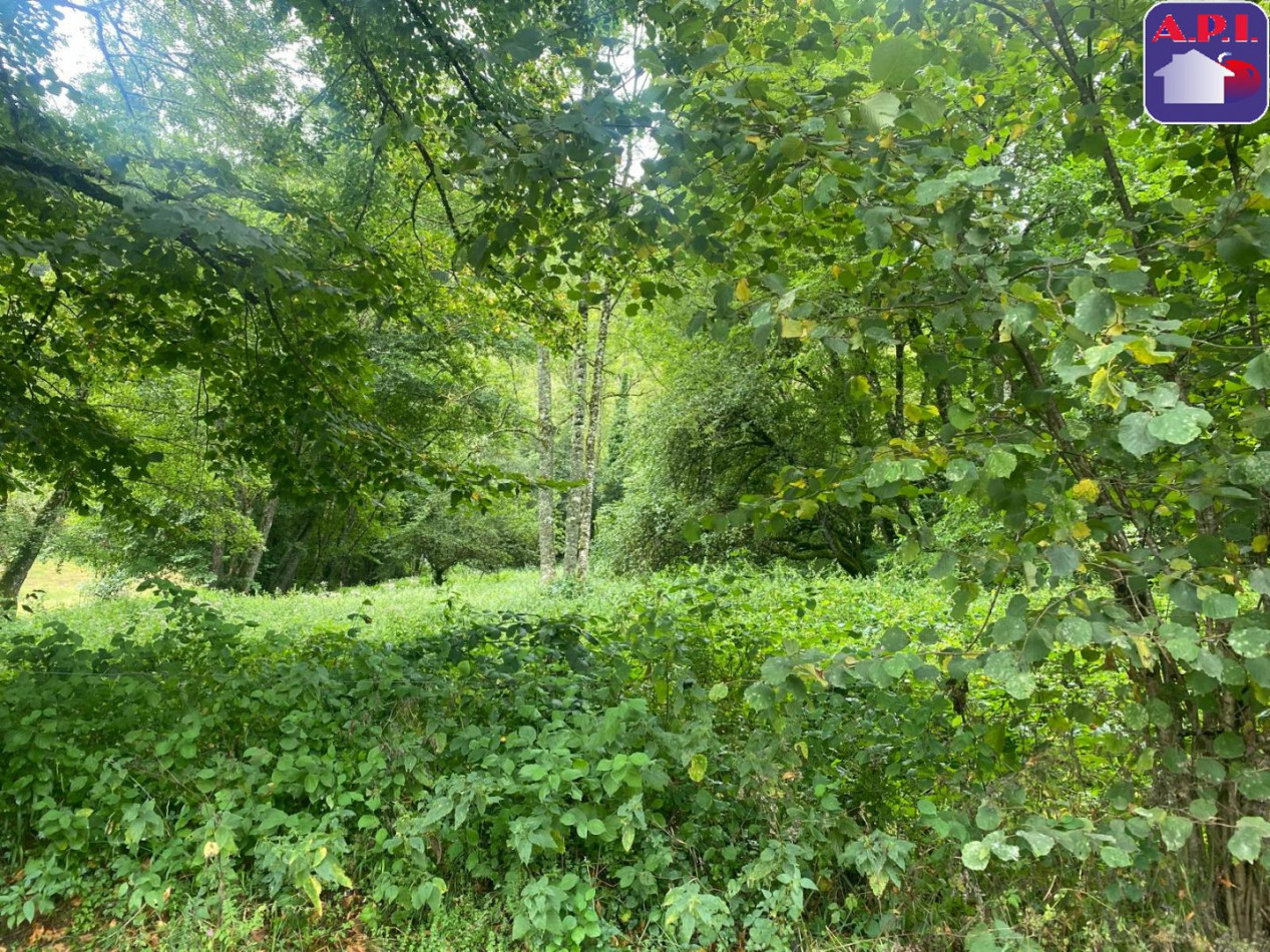 vente Grange Bonac Irazein - Photo 5