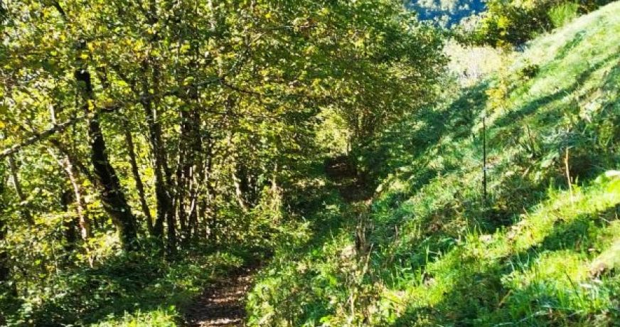 vente Grange Le Port