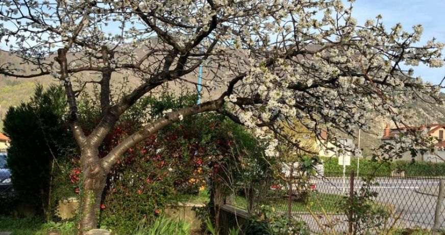 location Maison Tarascon Sur Ariege