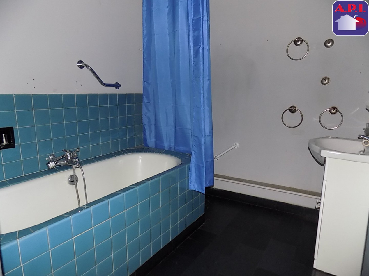 location Appartement Lavelanet - Photo 8