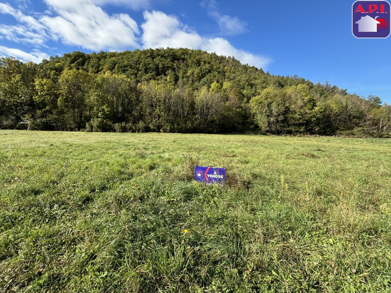 vente Terrain constructible Roquefeuil - Photo 2