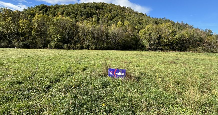 vente Terrain constructible Roquefeuil