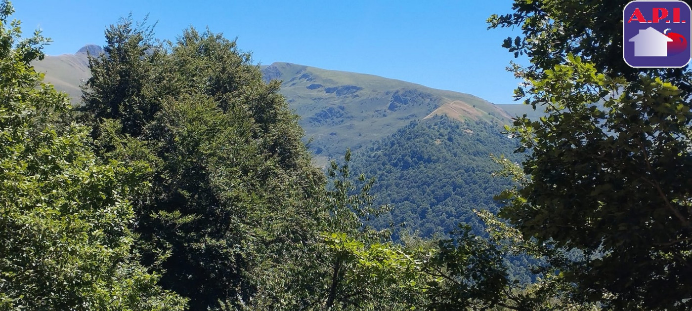 vente Grange Massat - Photo 6