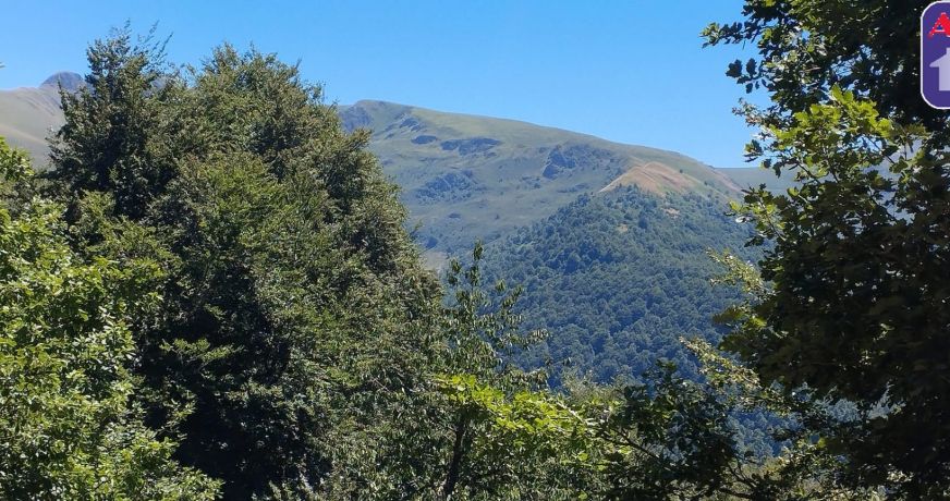 vente Grange Massat