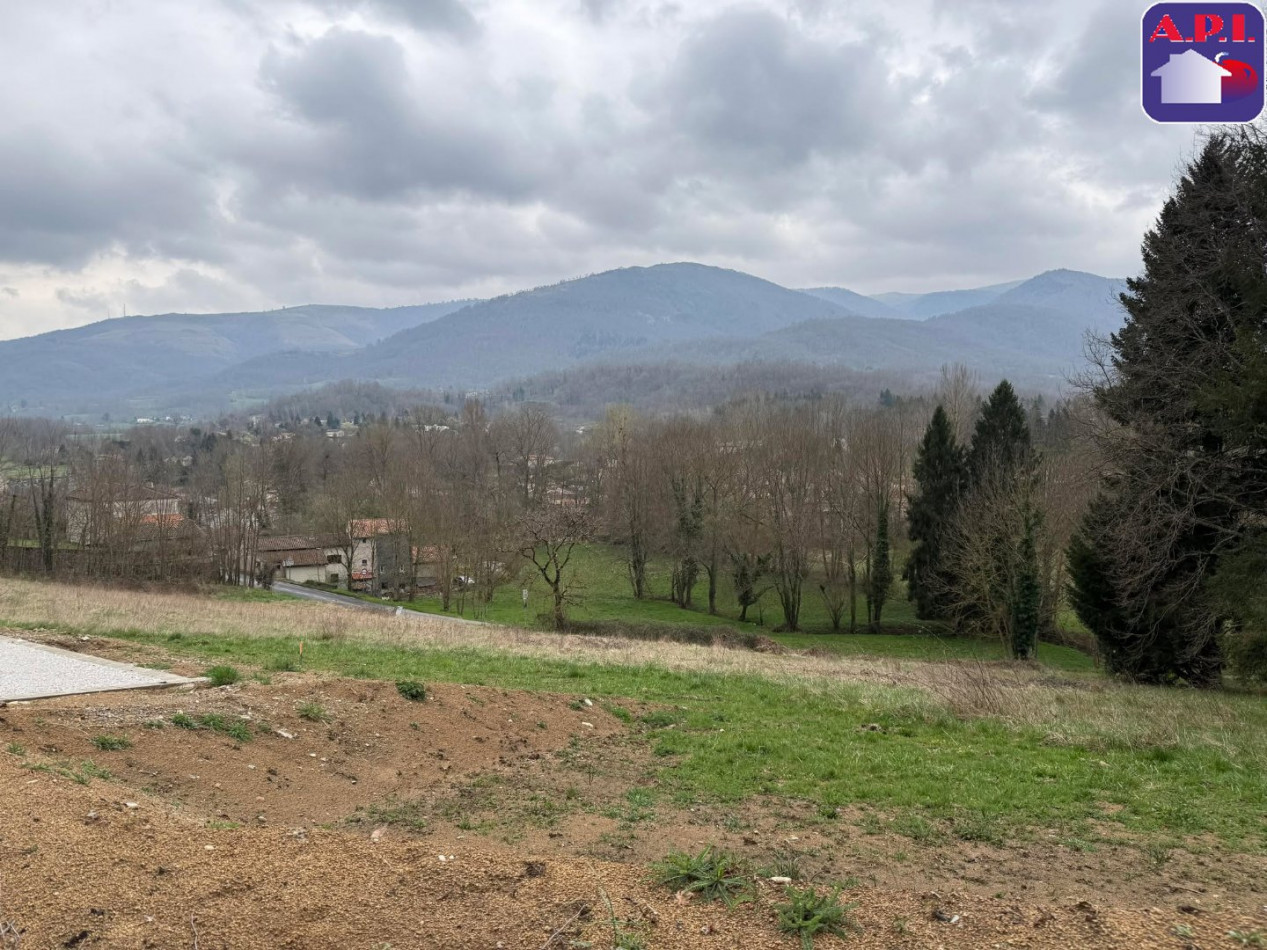 vente Terrain Saint Pierre De Riviere - Photo 3