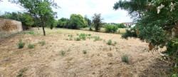 vente Terrain Belpech