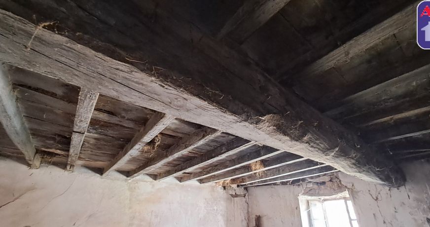 vente Maison Freychenet