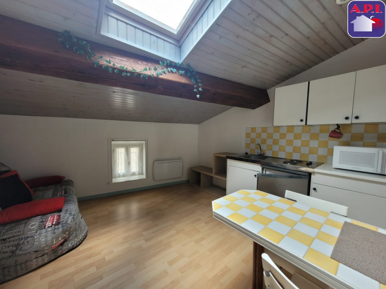 location Appartement Foix - Photo 1