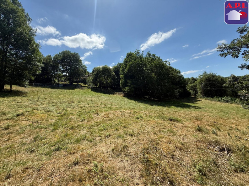 vente Terrain Saint Girons - Photo 8