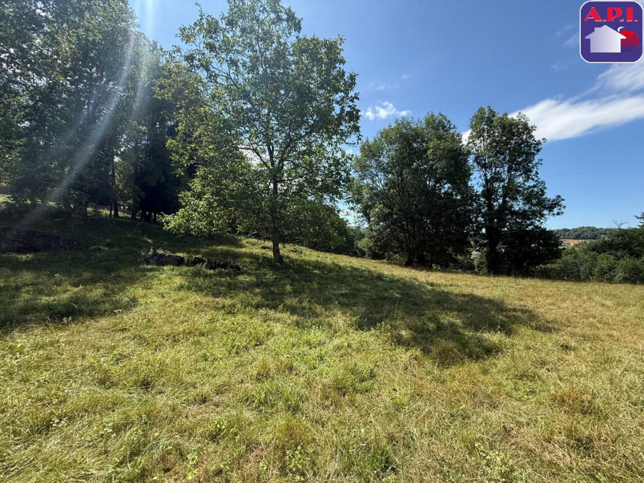 vente Terrain Saint Girons - Photo 3